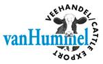S115 van Hummel veehandel cattle export II
